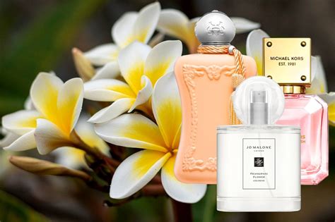 frangipani fragrance.